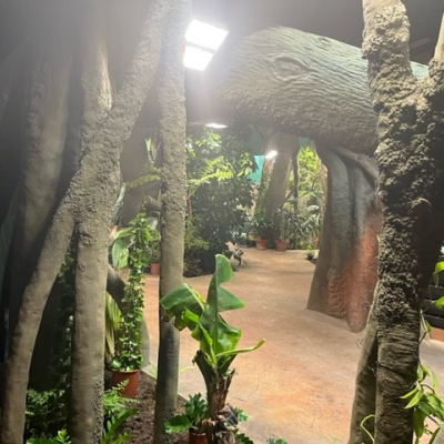 Zoo Prag Troja – Gorilla Pavillon