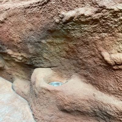 Zoo Prag Troja – Gorilla Pavillon