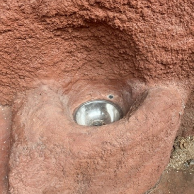 Zoo Prag Troja – Gorilla Pavillon