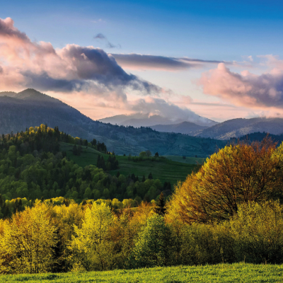 VI TÆNKER PÅ FREMTIDIGE GENERATIONER