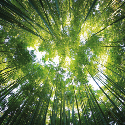 VI TÆNKER PÅ FREMTIDIGE GENERATIONER